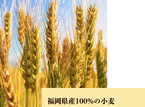kyushu butter cookies 90g